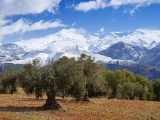 Sierra Nevada – Zasněžené hory
