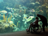 Podmořský svět ve floridském akváriu v Tampě