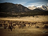 Národní park Rocky Mountain
