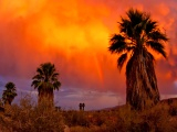 Anza – Borrego Desert State Park - unikátní kus pouště