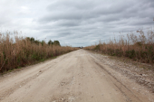 Everglades